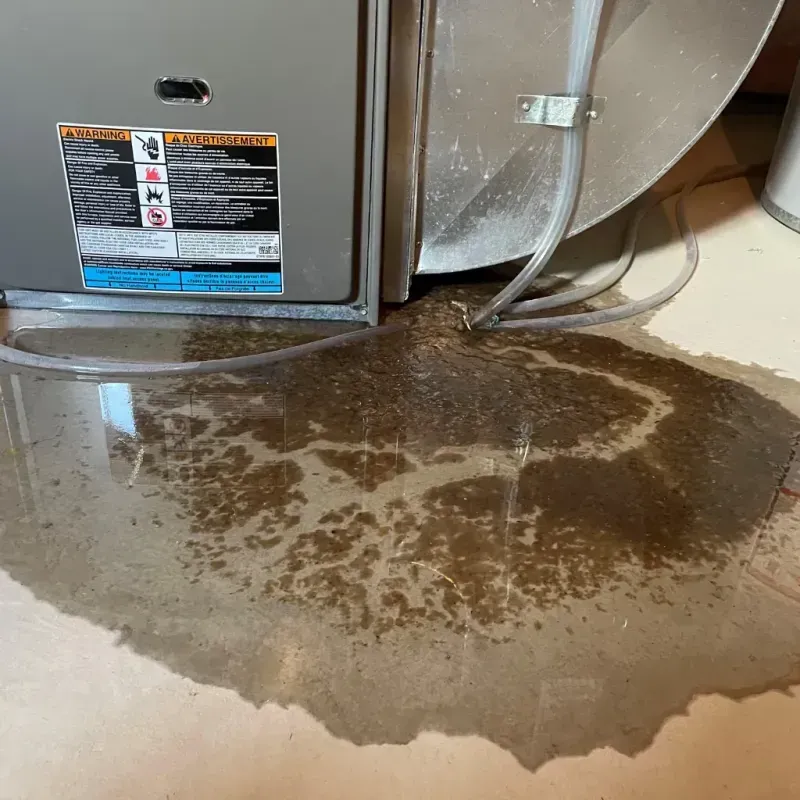 Appliance Leak Cleanup in Richland, GA